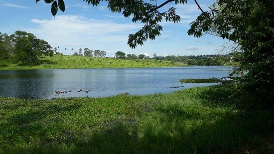 Lago das Palmeiras